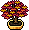 autumn_r19_maplebonsai