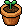 garden_smallpot
