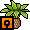nft_h23_canarydatepalm