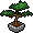 plant_bonsai