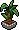 plant_pineapple