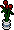 plant_rose