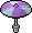 rare_parasol_3